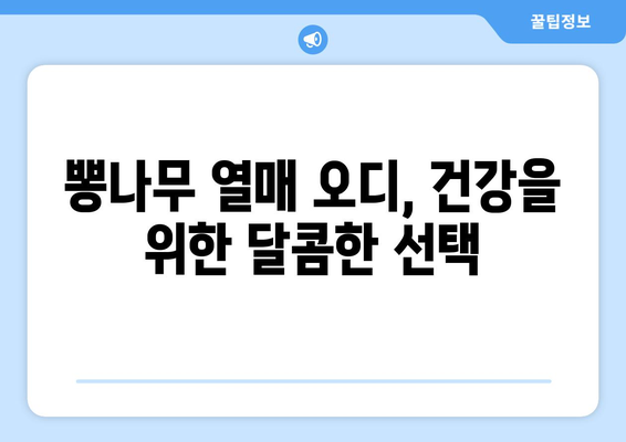 멀베리 오디뽕의 효능과 부작용, 먹는 방법 총정리 | 건강, 뽕나무, 오디 효능, 부작용, 섭취 방법