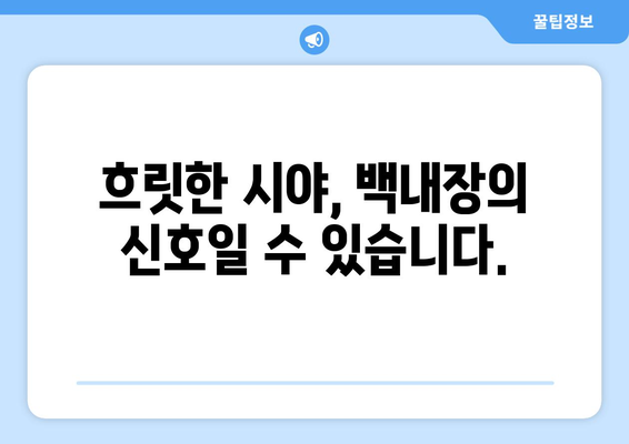 백내장, 증상부터 치료까지 완벽 가이드 | 백내장 원인, 백내장 수술, 백내장 예방