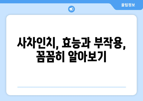 사차인치 효능, 부작용, 영양성분, 하루 섭취량 총정리 | 슈퍼푸드, 건강 정보, 섭취 가이드