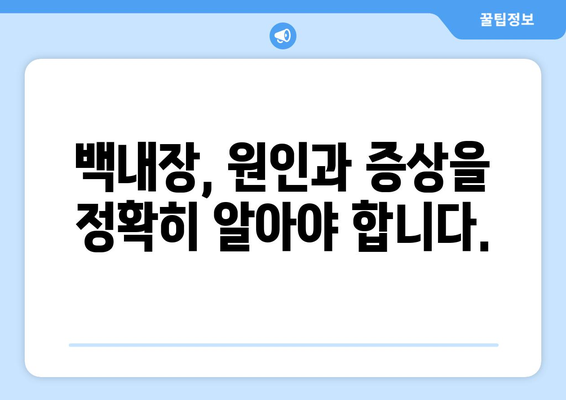 백내장, 증상부터 치료까지 완벽 가이드 | 백내장 원인, 백내장 수술, 백내장 예방