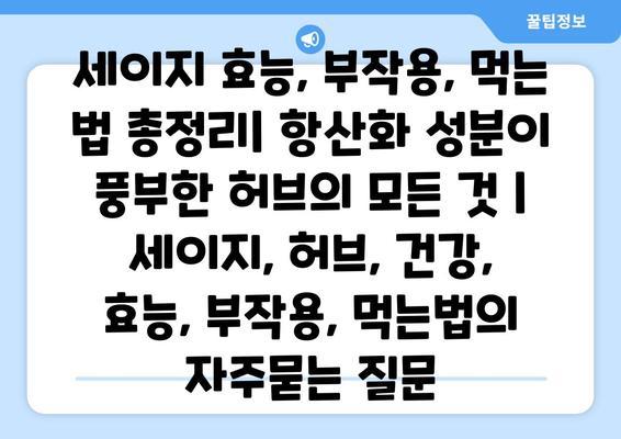 세이지 효능, 부작용, 먹는 법 총정리| 항산화 성분이 풍부한 허브의 모든 것 | 세이지, 허브, 건강, 효능, 부작용, 먹는법