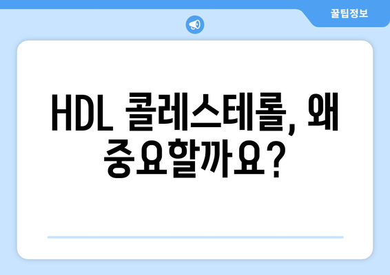 건강한 콜레스테롤 관리| HDL 수치 높이는 5가지 실천법 | 고지혈증, 심혈관 건강, 콜레스테롤 관리