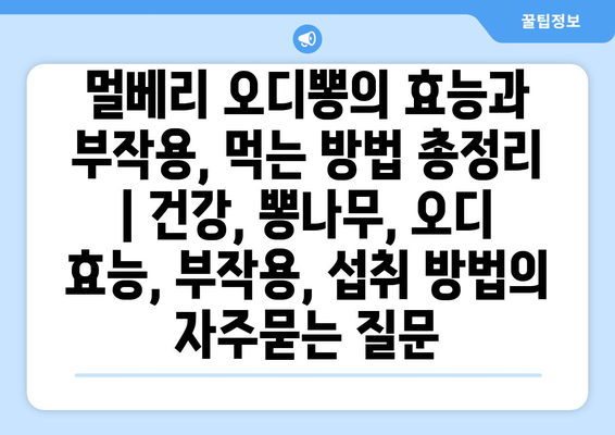 멀베리 오디뽕의 효능과 부작용, 먹는 방법 총정리 | 건강, 뽕나무, 오디 효능, 부작용, 섭취 방법