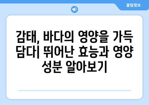 감태의 모든 것| 효능, 부작용, 먹는 법, 요리 레시피 총정리 | 해조류, 건강식품, 맛있는 레시피