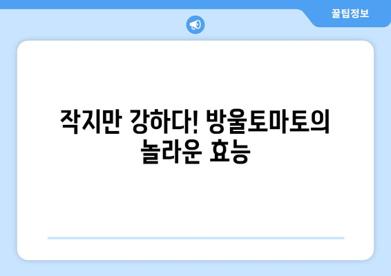 방울토마토의 놀라운 효능과 영양 성분 | 건강하게 즐기는 방울토마토 먹는 법 & 주의사항