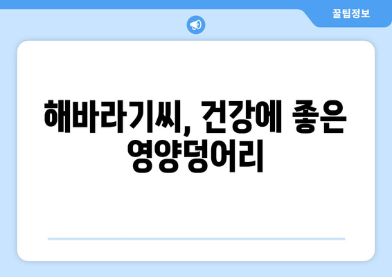 해바라기씨의 놀라운 효능과 주의해야 할 부작용, 영양성분까지 완벽 분석 | 건강, 식품, 영양, 해바라기