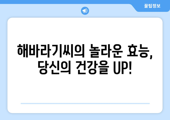 해바라기씨의 놀라운 효능과 주의해야 할 부작용, 영양성분까지 완벽 분석 | 건강, 식품, 영양, 해바라기