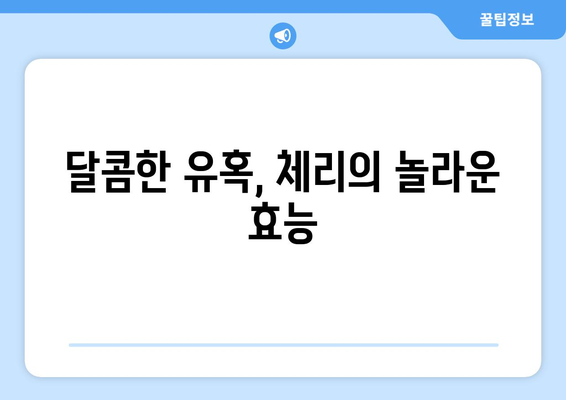 체리의 효능과 부작용, 맛있는 선택 요리까지! 완벽 가이드 | 체리, 건강, 레시피, 효능, 부작용