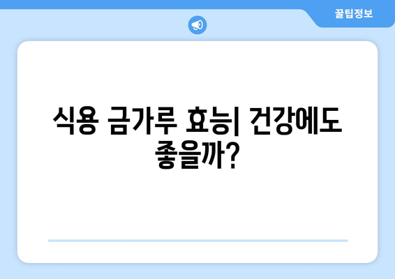 식용 금가루| 효능, 맛, 요리법, 금박지 판매처 총정리 | 금가루, 식용 금, 금박, 요리 재료, 레시피, 판매 정보