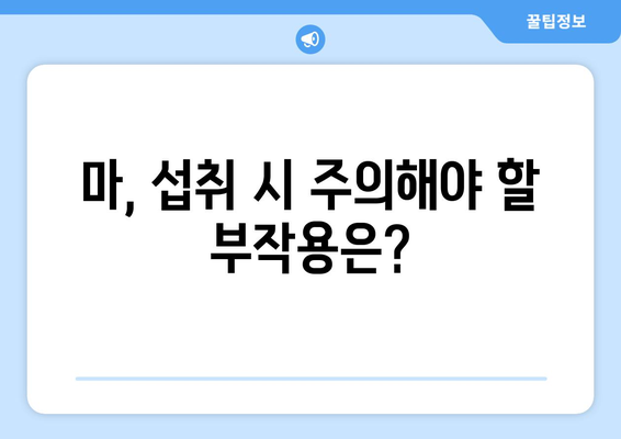 마의 효능, 부작용, 영양성분, 마즙 먹는 법 총정리| 건강하게 즐기는 마의 모든 것 | 마 효능, 마 부작용, 마즙 만드는 법, 마즙 효능, 마 효능 부작용