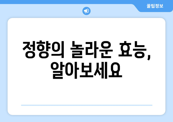 정향의 모든 것| 효능, 부작용, 고르는 법, 먹는 법 | 건강, 향신료, 정향 효능, 정향 부작용, 정향 고르는 법, 정향 먹는 법