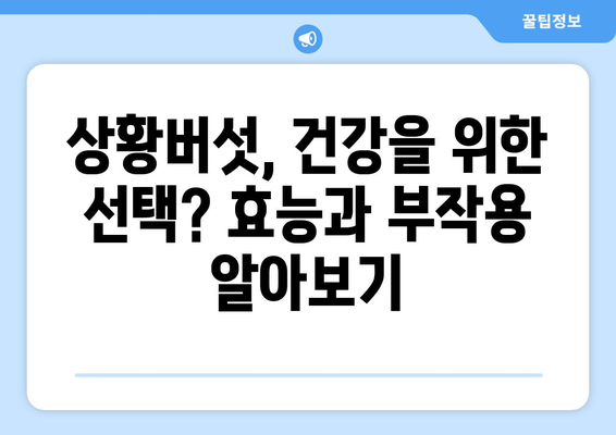 상황버섯 완벽 가이드| 효능, 부작용, 종류, 먹는 방법, 진짜 vs 가짜 구별법 | 건강, 버섯, 약용버섯