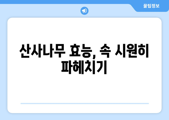 산사나무 효능, 부작용, 열매 먹는 법 총정리| 꽃사과와 비교분석 | 산사나무 효능, 산사나무 부작용, 산사나무 열매, 꽃사과