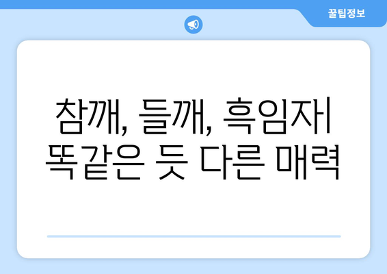 참깨의 놀라운 효능과 영양성분, 먹는 법까지! 들깨와 흑임자와 비교 분석 | 건강, 식품, 참깨, 들깨, 흑임자, 효능, 영양, 레시피