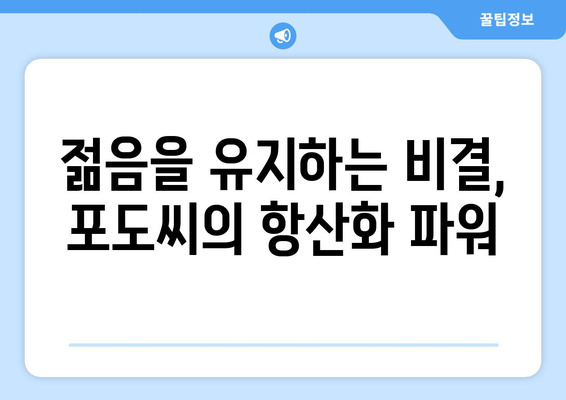 포도씨 효능| 건강과 미용을 위한 놀라운 비밀 | 포도, 씨앗, 항산화, 건강, 미용, 효능