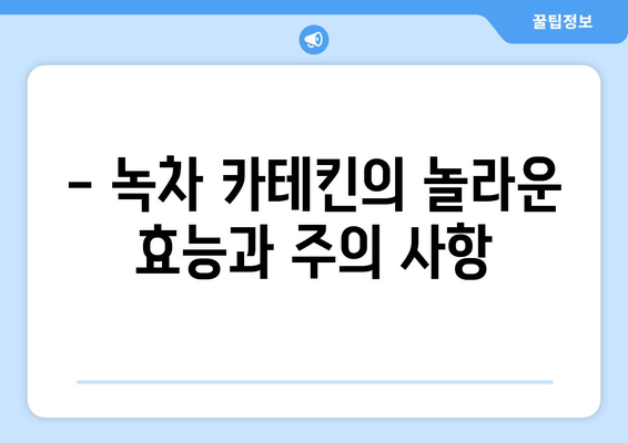 녹차 카테킨의 놀라운 효능과 부작용| 건강하게 다이어트하는 방법 | 카테킨 풍부 식품, 녹차 효능, 다이어트 팁