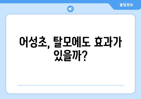 어성초 효능, 부작용, 먹는 법 총정리| 탈모에도 효과가 있을까요? | 어성초 효능, 어성초 부작용, 어성초 먹는법, 탈모, 건강