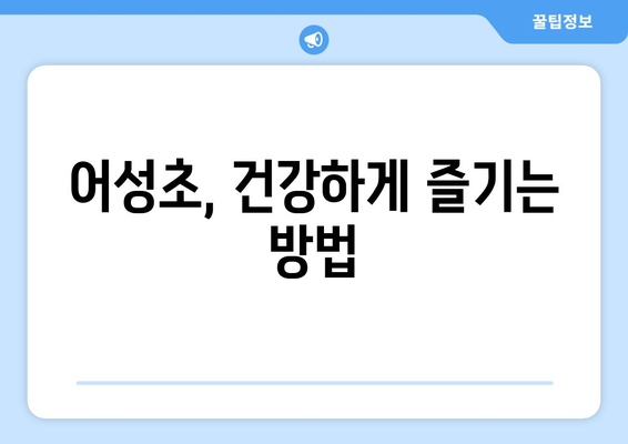 어성초 효능, 부작용, 먹는 법 총정리| 탈모에도 효과가 있을까요? | 어성초 효능, 어성초 부작용, 어성초 먹는법, 탈모, 건강