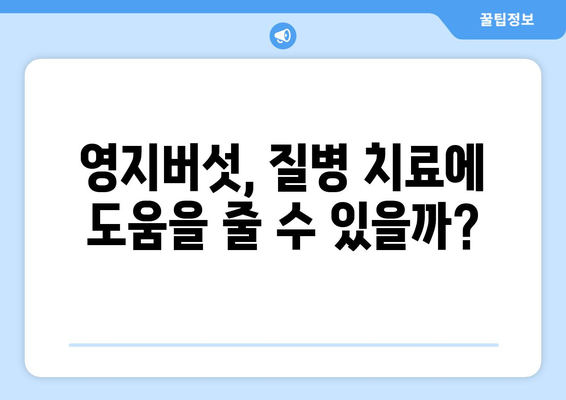 영지버섯의 놀라운 효능과 부작용, 먹는 법까지 완벽 가이드| 다양한 질병 치료를 돕는 귀한 약재 | 영지버섯 효능, 영지버섯 부작용, 영지버섯 먹는 법, 건강, 약재