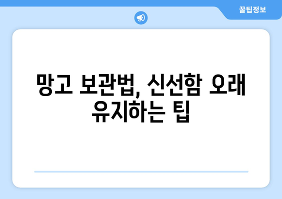 망고의 모든 것| 효능, 부작용, 먹는 법, 보관법 총정리 | 망고, 과일, 건강, 영양, 팁