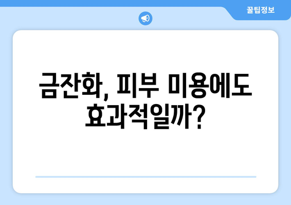 금잔화 효능, 부작용, 사용법 완벽 정리 | 메리골드차 끓이는 법 포함