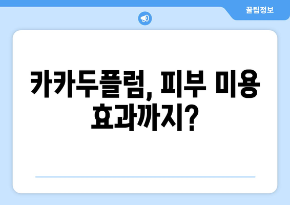 카카두플럼의 놀라운 효능, 부작용, 먹는법 & 피부 미용 효과까지 | 카카두플럼, 건강, 피부, 슈퍼푸드