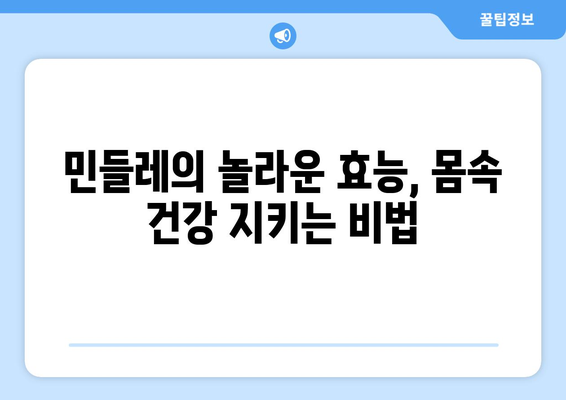 민들레 효능, 부작용, 영양 성분 완벽 정리! 맛있는 민들레차 끓이는 법까지 | 민들레, 건강, 차, 레시피