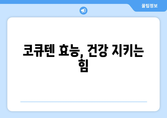 코큐텐CoQ10 완벽 가이드| 효능, 부작용, 복용법, 유비퀴논과의 차이 | 건강, 영양제, 항산화