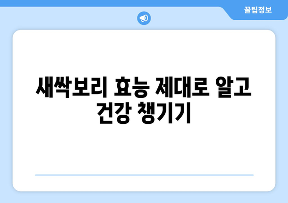 새싹보리 효능, 부작용, 분말 파우더 먹는법| 건강 효과와 주의 사항 완벽 가이드 | 새싹보리, 건강, 분말, 효능, 부작용, 먹는법