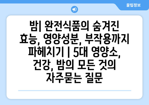 밤| 완전식품의 숨겨진 효능, 영양성분, 부작용까지 파헤치기 | 5대 영양소, 건강, 밤의 모든 것