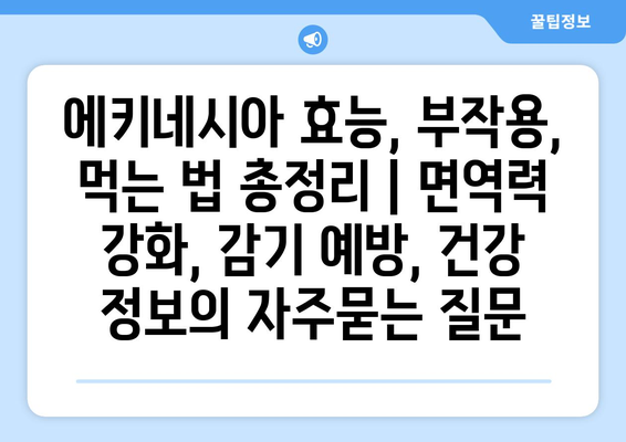 에키네시아 효능, 부작용, 먹는 법 총정리 | 면역력 강화, 감기 예방, 건강 정보