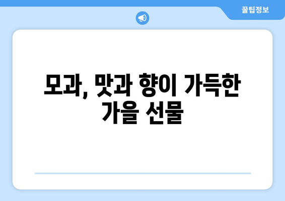 모과의 모든 것| 효능, 부작용, 먹는 법, 모과차 만드는 법 | 건강, 차, 레시피, 효능