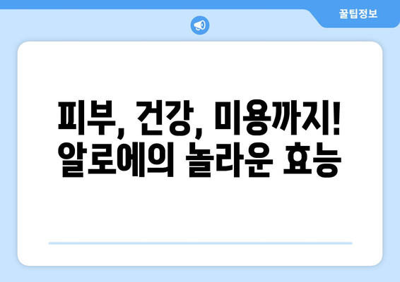 알로에, 효능부터 부작용까지! 제대로 알고 사용하는 완벽 가이드 | 알로에 효능, 알로에 부작용, 알로에 고르는법, 알로에 보관법, 알로에 사용법