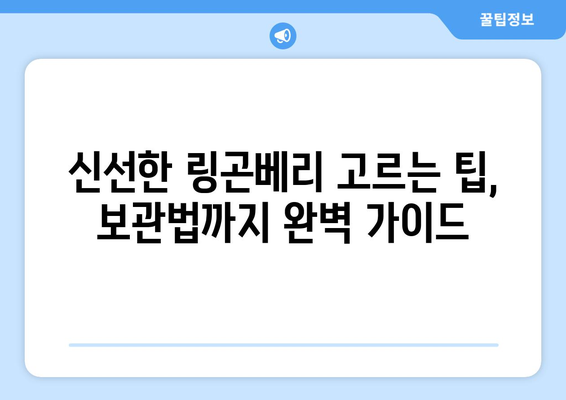 링곤베리의 효능과 부작용, 맛있게 즐기는 방법까지! 고르는 팁부터 보관법까지 완벽 가이드 | 링곤베리, 효능, 부작용, 보관, 먹는법, 고르는법