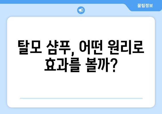 탈모 샴푸, 정말 효과 있을까? | 탈모 샴푸 효능 분석, 추천 제품, 사용법, 주의사항, 탈모 관리 팁