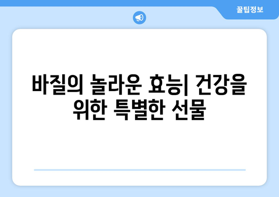 바질의 모든 것| 효능, 부작용, 좋은 바질 고르는 법 & 맛있게 먹는 법 | 허브, 건강, 요리