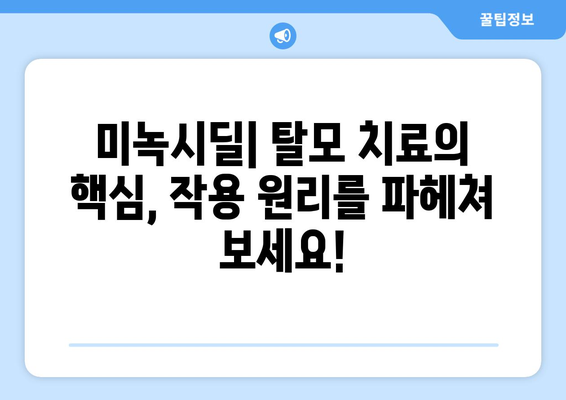 미녹시딜, 탈모 극복의 희망! | 미녹시딜 정부 작용, 효과 및 부작용, 사용법, 주의사항