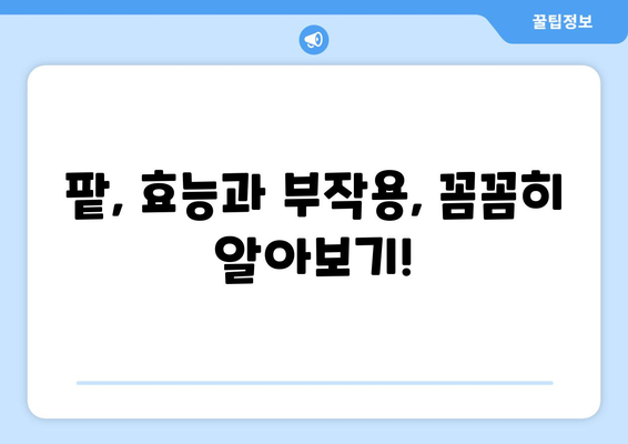 팥, 효능부터 부작용까지! 맛있게 즐기는 요리법 & 활용 가이드 | 팥 효능, 팥 부작용, 팥 요리, 팥 활용