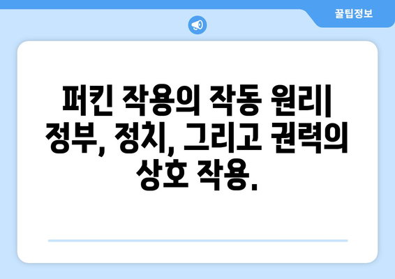 퍼킨정부작용| 깊이 이해하는 완벽 가이드 | 정부, 작용, 정치, 분석, 역사