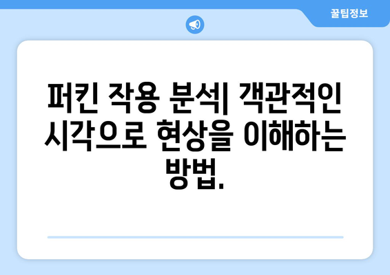 퍼킨정부작용| 깊이 이해하는 완벽 가이드 | 정부, 작용, 정치, 분석, 역사