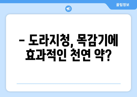 도라지청의 부작용, 알고 드세요! | 도라지 효능, 주의사항, 부작용 정보