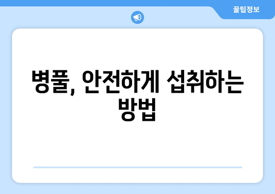 병풀 효능, 부작용, 먹는 법까지! 고투콜라 추출물의 모든 것 | 피부, 건강, 효과, 주의사항