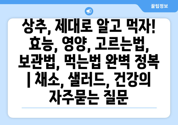 상추, 제대로 알고 먹자! 효능, 영양, 고르는법, 보관법, 먹는법 완벽 정복 | 채소, 샐러드, 건강