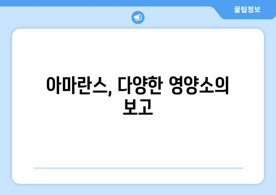 아마란스의 놀라운 효능과 주의해야 할 부작용, 그리고 맛있게 먹는 방법 | 아마란스 효능, 아마란스 부작용, 아마란스 먹는법, 아마란스 레시피