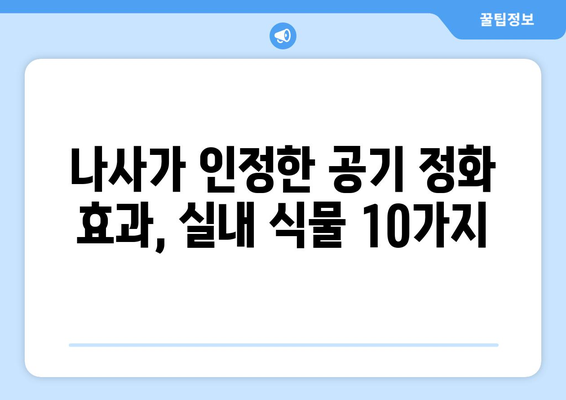 나사NASA 선정! 실내 공기 정화에 효과적인 식물 TOP 10 | 공기 정화 식물, 실내 식물, 미세먼지 제거, 공기 청정