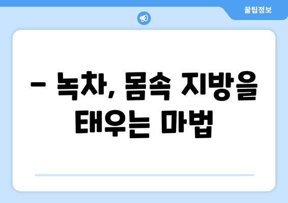 녹차 카테킨의 놀라운 효능과 부작용| 건강하게 다이어트하는 방법 | 카테킨 풍부 식품, 녹차 효능, 다이어트 팁