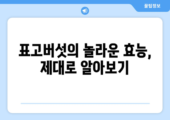 표고버섯의 모든 것| 효능, 부작용, 고르는 법, 요리 레시피 | 건강, 요리, 식재료