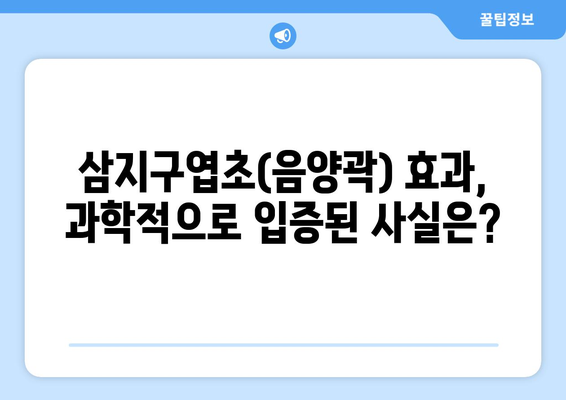 삼지구엽초(음양곽) 효능, 영양 성분, 주의사항 완벽 정리 | 건강, 약초, 부작용