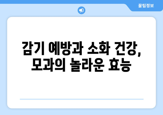 모과의 모든 것| 효능, 부작용, 먹는 법, 모과차 만드는 법 | 건강, 차, 레시피, 효능