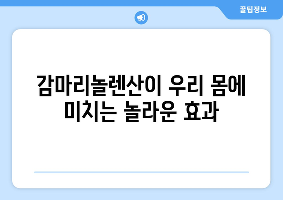 감마리놀렌산의 모든 것| 효능, 부작용, 영양제 복용법, 풍부한 음식 | 건강, 영양, 식단, 건강기능식품